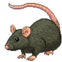 lesbianrat-blog avatar