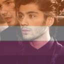 lesbians4zaynmalik avatar