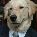 lesbos-crossings avatar