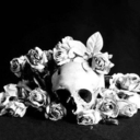 lesbruitsetlesfureurs avatar