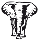 lesderniersfolies avatar