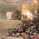 lesfleursdelavie avatar