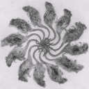 lesfleursdumal77 avatar