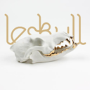 leskull avatar