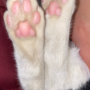 less-nat-blog avatar