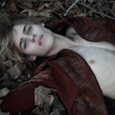 lestat-delight-blog avatar