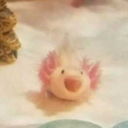 let-s-fight-wait-i-was-joking avatar