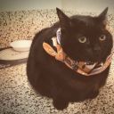 let-the-dream-descend avatar