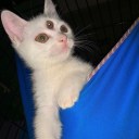 let-the-sun-talk avatar