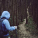 letaschepienedisassi avatar