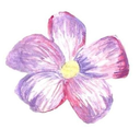 leteenagedirtbag avatar