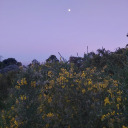 letgooandletlove avatar