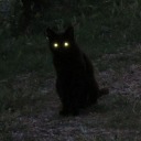 lethargic-witch-of-my-soul avatar