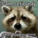 letmebefrowny2 avatar