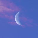 letraindusoir avatar