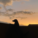 letras-de-la-noche avatar