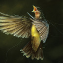 letras-y-melancolia avatar