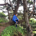 lets-all-just-chill avatar