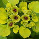 lets-be-inspired-now avatar