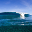 lets-live-like-jay avatar