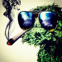 lets420dudi avatar