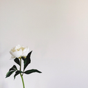 letsbe-lovely avatar