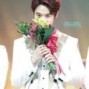 letschoiminho avatar