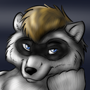 letsdinfleetpaw avatar