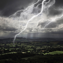 letsdolunchhoney avatar