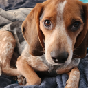 letsdosciencetoit avatar