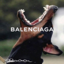 letsdosomeshitt avatar