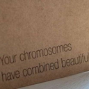 letsfindtheparadise avatar