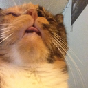 letsgolaughing avatar