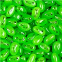 letsgomidewaworld avatar