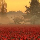 letslivebythesea avatar