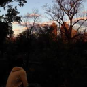 letslivefort0night avatar