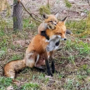 letspostwithmama avatar