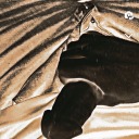 letssharesum3 avatar