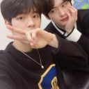 letsstaywithstraykids avatar