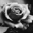 letsstopandbeperfectlyimperfect avatar