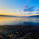 letstalkabout-stuff avatar