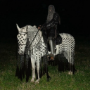 letstryagainsworld avatar