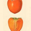 letterandline avatar