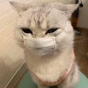 letteresuimuri avatar