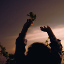 letters-for-you avatar