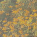 letters-from-dai avatar