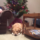 letters-of-life avatar