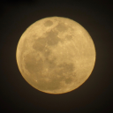 lettersformylovers avatar