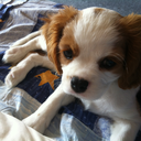 lettersfromoatmeal avatar