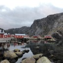 lettersfromscandi avatar